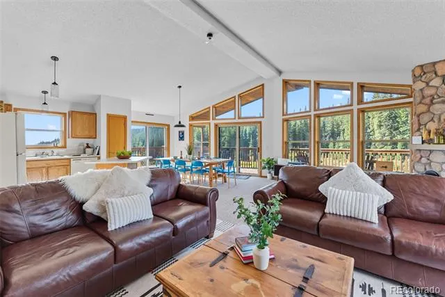 162 S Silk Sisters Place Fairplay, CO 80440