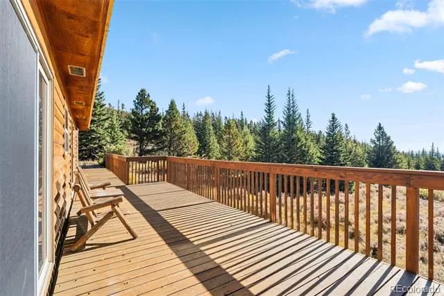162 S Silk Sisters Place Fairplay, CO 80440