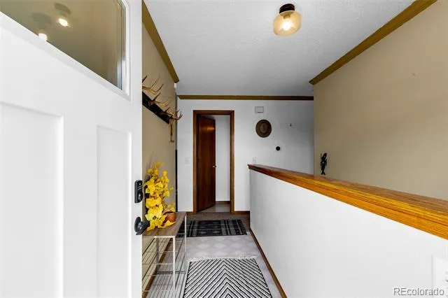 162 S Silk Sisters Place Fairplay, CO 80440
