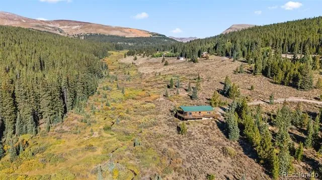 162 S Silk Sisters Place Fairplay, CO 80440
