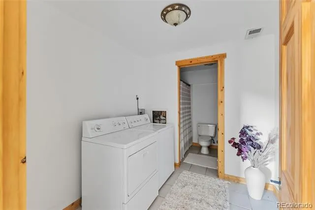 162 S Silk Sisters Place Fairplay, CO 80440