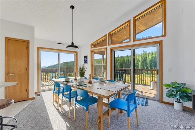 162 S Silk Sisters Place Fairplay, CO 80440