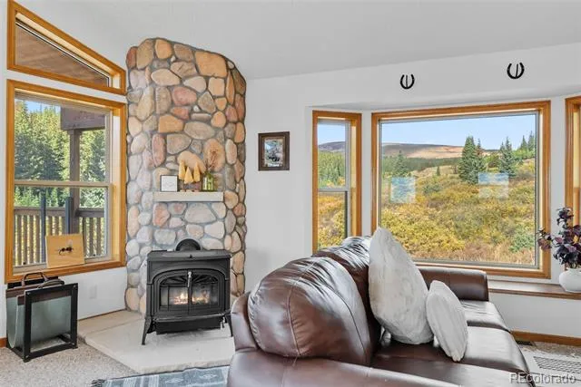 162 S Silk Sisters Place Fairplay, CO 80440