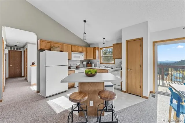 162 S Silk Sisters Place Fairplay, CO 80440