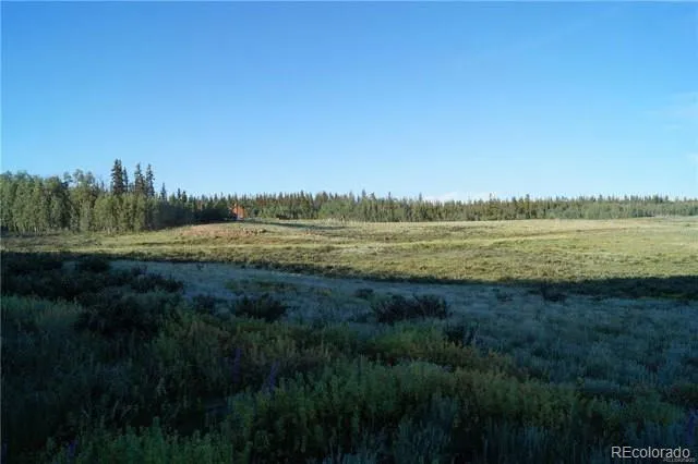 133 Puma Court Como, CO 80432
