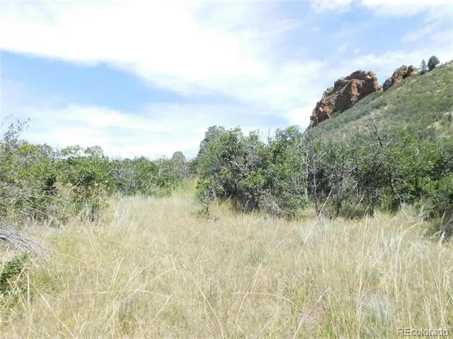 5967 Country Club Drive Larkspur, CO 80118