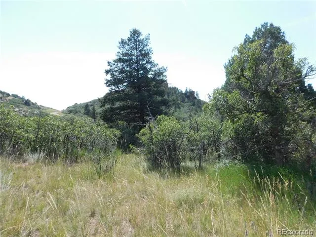 5967 Country Club Drive Larkspur, CO 80118
