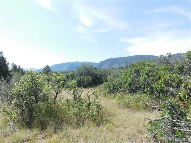 5967 Country Club Drive Larkspur, CO 80118