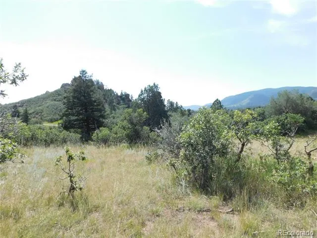 5967 Country Club Drive Larkspur, CO 80118