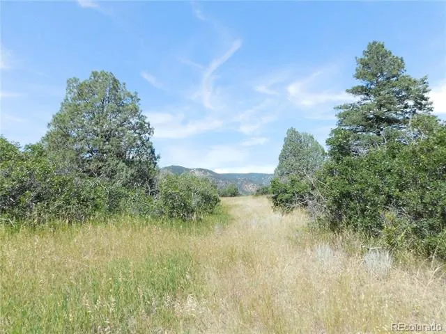 5967 Country Club Drive Larkspur, CO 80118