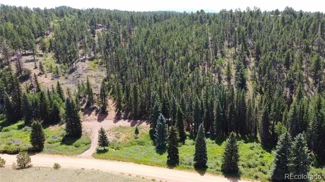 1570 Pathfinder Road Florissant, CO 80816