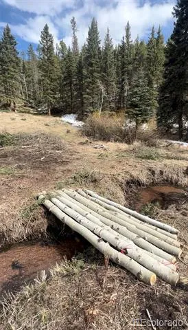 1570 Pathfinder Road Florissant, CO 80816