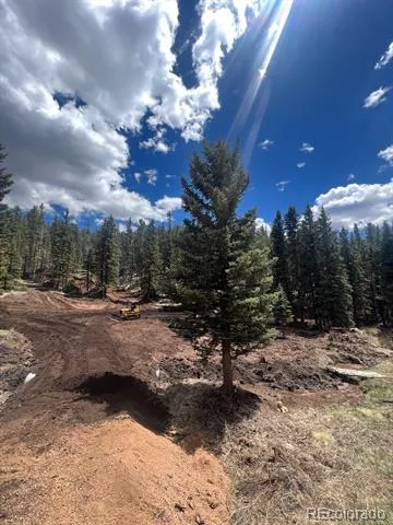 1570 Pathfinder Road Florissant, CO 80816
