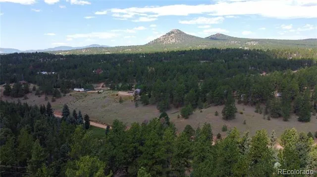1570 Pathfinder Road Florissant, CO 80816