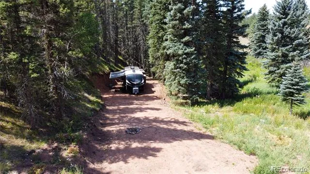 1570 Pathfinder Road Florissant, CO 80816
