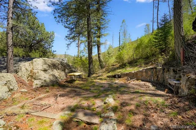 32114 Upper Bear Creek Road Evergreen, CO 80439