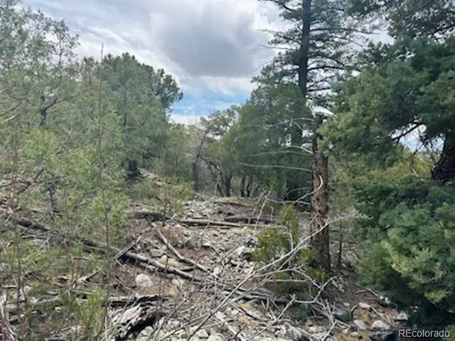 313 Arrastre Road Mosca, CO 81146