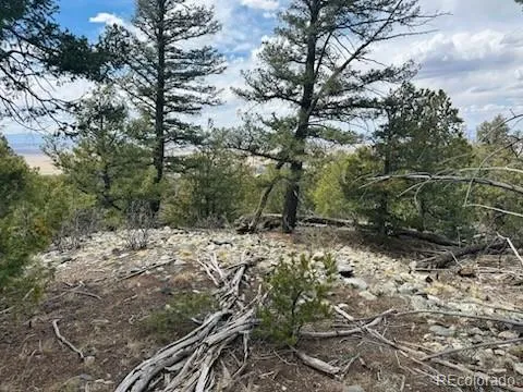 313 Arrastre Road Mosca, CO 81146