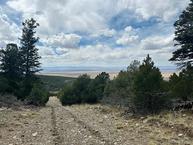 313 Arrastre Road Mosca, CO 81146