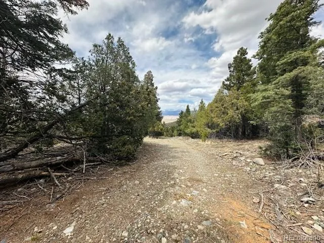 313 Arrastre Road Mosca, CO 81146