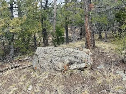 313 Arrastre Road Mosca, CO 81146