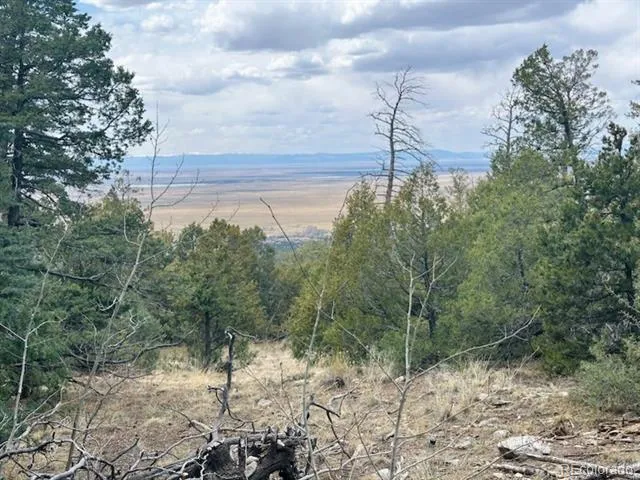 313 Arrastre Road Mosca, CO 81146