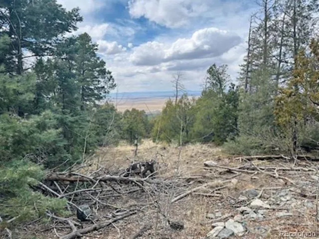 313 Arrastre Road Mosca, CO 81146