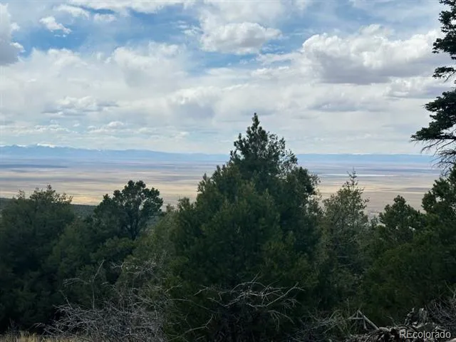 313 Arrastre Road Mosca, CO 81146