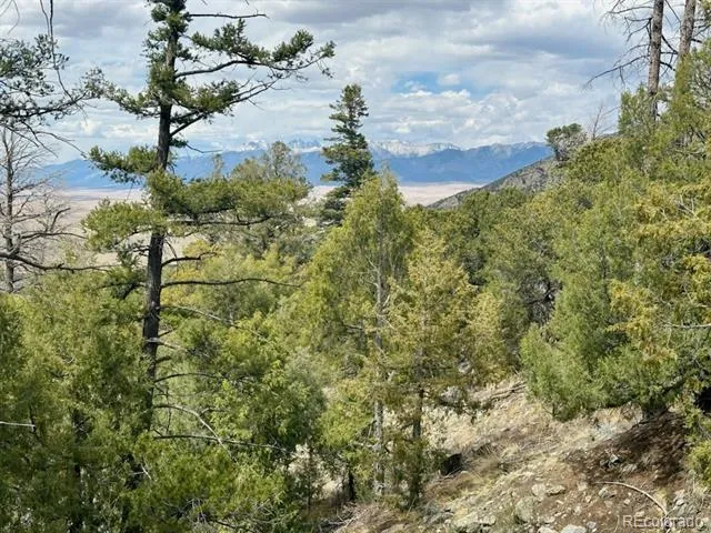 313 Arrastre Road Mosca, CO 81146