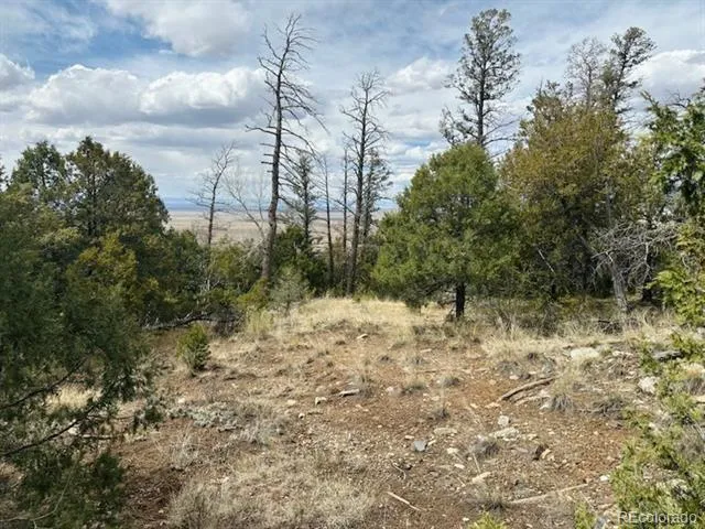 313 Arrastre Road Mosca, CO 81146