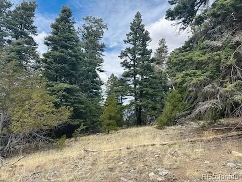 313 Arrastre Road Mosca, CO 81146