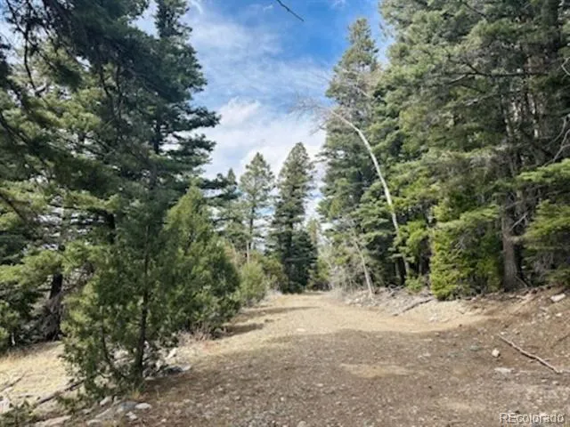 313 Arrastre Road Mosca, CO 81146