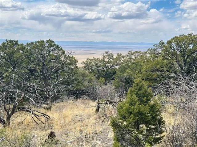 313 Arrastre Road Mosca, CO 81146