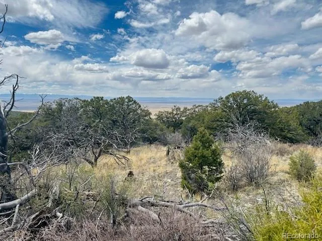 313 Arrastre Road Mosca, CO 81146