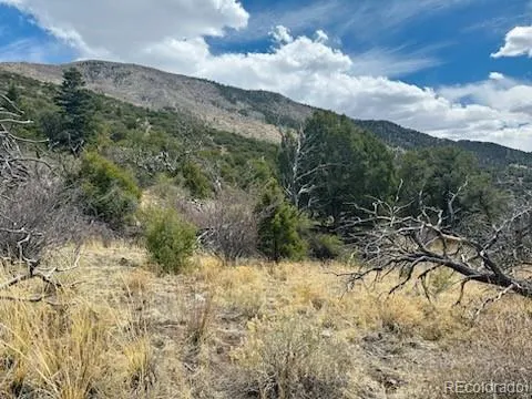 313 Arrastre Road Mosca, CO 81146
