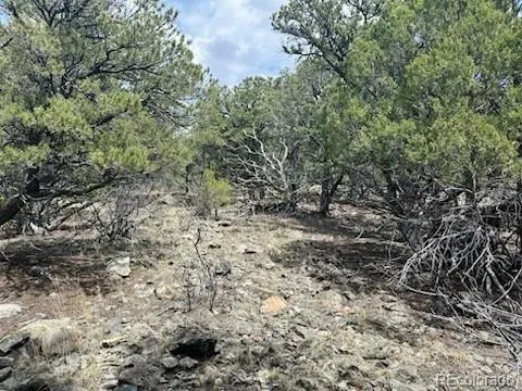 313 Arrastre Road Mosca, CO 81146