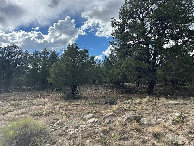 1661 Willow Creek Way Crestone, CO 81131