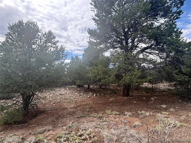 1661 Willow Creek Way Crestone, CO 81131