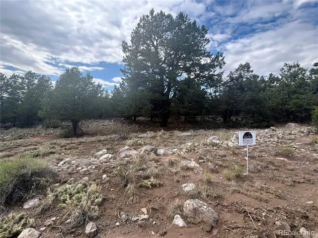 1661 Willow Creek Way Crestone, CO 81131