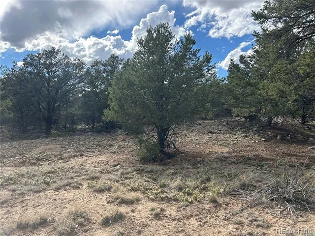 1661 Willow Creek Way Crestone, CO 81131