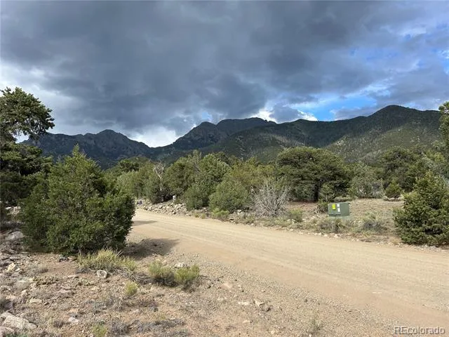 1661 Willow Creek Way Crestone, CO 81131