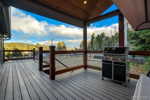 1011 W South Avenue Woodland Park, CO 80863