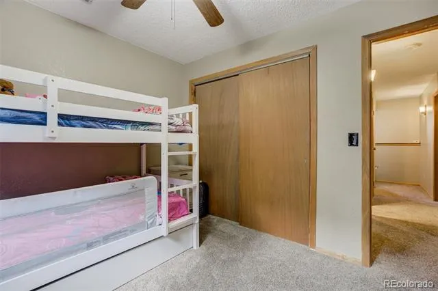 1011 W South Avenue Woodland Park, CO 80863