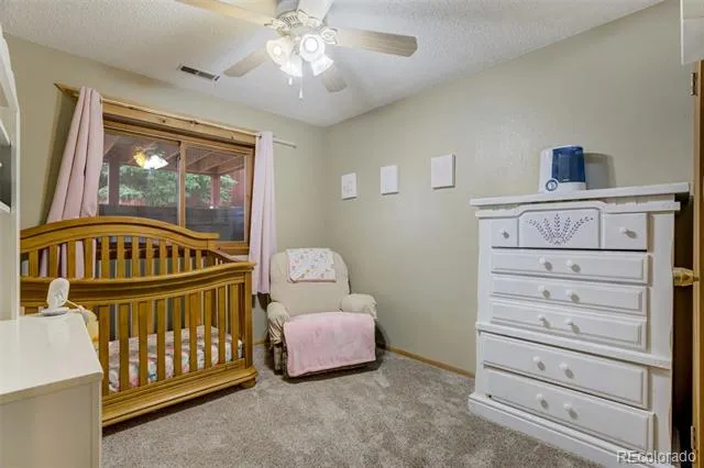 1011 W South Avenue Woodland Park, CO 80863