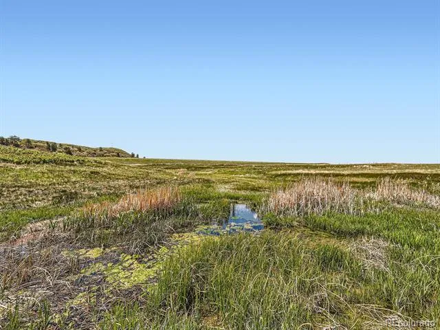 11750 S State Highway 83 Franktown, CO 80116