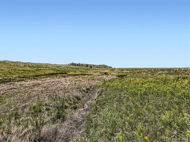 11750 S State Highway 83 Franktown, CO 80116