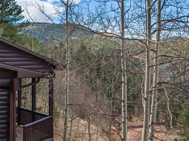 60 Beaver Pond Road Divide, CO 80814