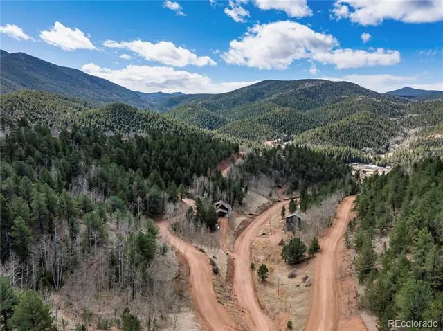 60 Beaver Pond Road Divide, CO 80814