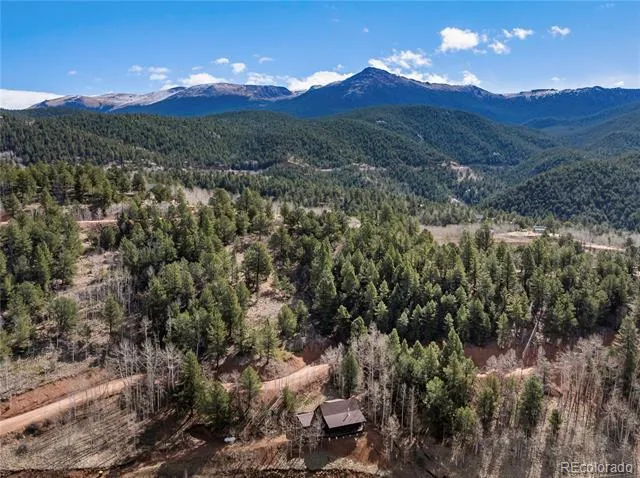 60 Beaver Pond Road Divide, CO 80814