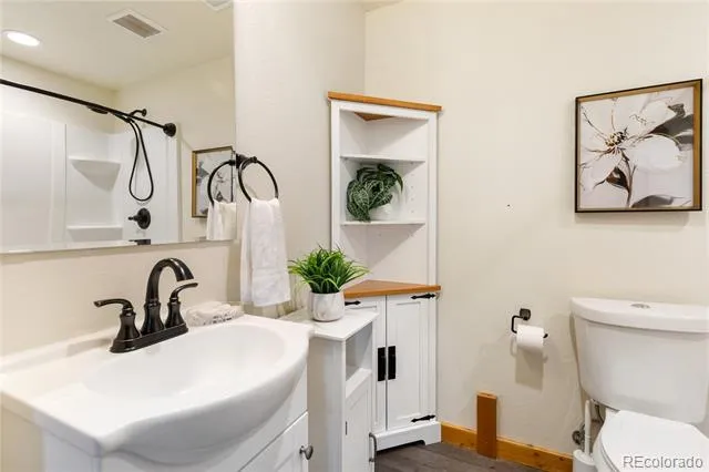 60 Beaver Pond Road Divide, CO 80814